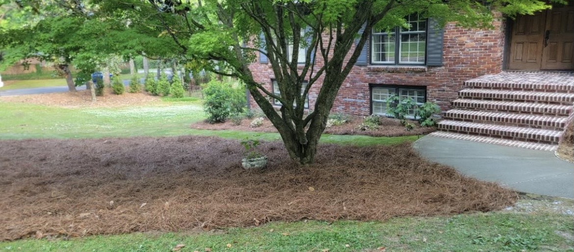 Front Yard Mulch Refresh