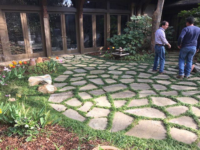 Flagstone & Groundcover Courtyard