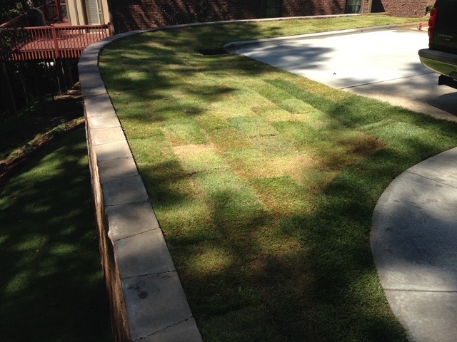 Lawn & Sod Installation
