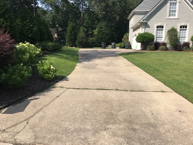 Curved Driveway & Hydrangea Border
