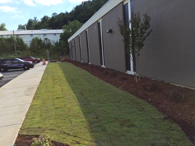 Commercial Sod & Mulch Installation